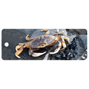 Dungeness Crab with Mussels