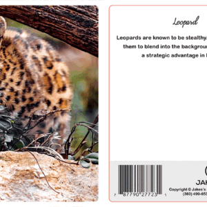 Alternative view of Leopard