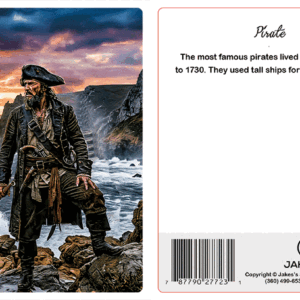 Alternative view of Pirate with Ship