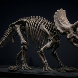 Dinosaur Flip - Image 4
