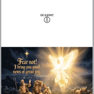 Alternative view of Shepherds Fear Not...